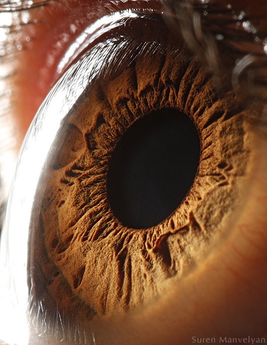 Disturbingly Beautiful Macro Photos of Eyes by Suren Manvelyan